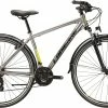 Lapierre Trekking 1.0, S&oslash;lv -E-bikes Trekking Butik lapierre trekking 10 light grey 1