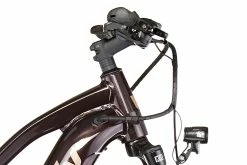 Liv Amiti-E+ 2 Damer, Brun -E-bikes Trekking Butik liv amiti e 2 women rosewood 2