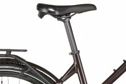 Liv Amiti-E+ 2 Damer, Brun -E-bikes Trekking Butik liv amiti e 2 women rosewood 6