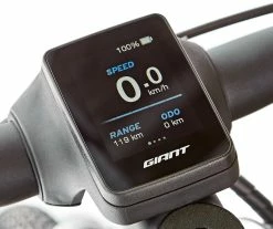 Liv Amiti-E+ 2 Damer, Brun -E-bikes Trekking Butik liv amiti e 2 women rosewood 7