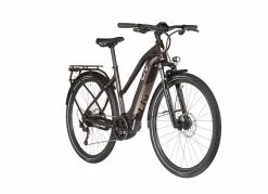 Liv Amiti-E+ 2 Damer, Brun