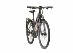 Liv Amiti-E+ 2 Damer, Brun -E-bikes Trekking Butik liv amiti e 2 women rosewood 9
